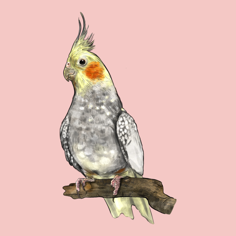 Cocktail Parrot Urban Heavy Tee by LillyAllenDesigns | Teevron