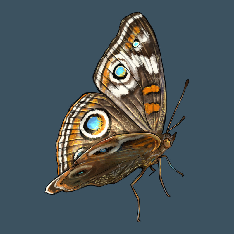 Flying Common Buckeye Butterfly Urban Heavy Tee by LillyAllenDesigns | Teevron