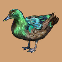 Cayuga Duck Vintage Tee | Teevron