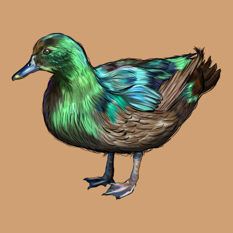 Cayuga Duck Vintage Tee by LillyAllenDesigns | Teevron
