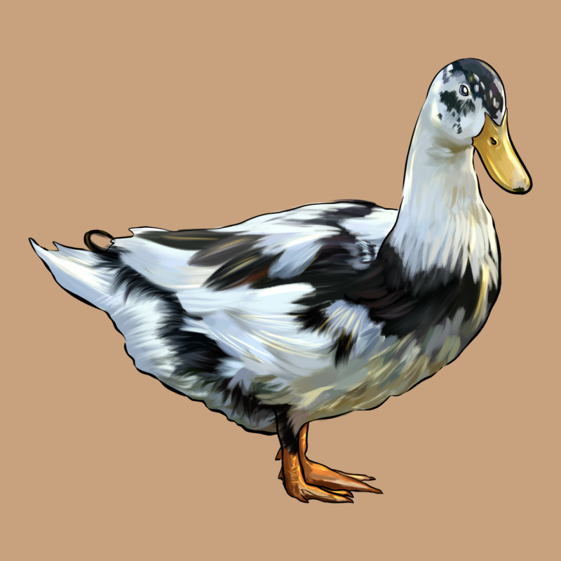 Ancona Duck Vintage Tee by LillyAllenDesigns | Teevron