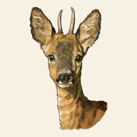 Red Brocket Deer Head Vintage Tee | Teevron