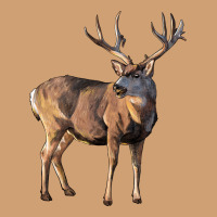 Mule Buck Deer Vintage Tee | Teevron