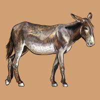 American Mammoth Jackstock Donkey Vintage Tee | Teevron