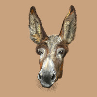 American Mammoth Jackstock Donkey  Face Vintage Tee | Teevron