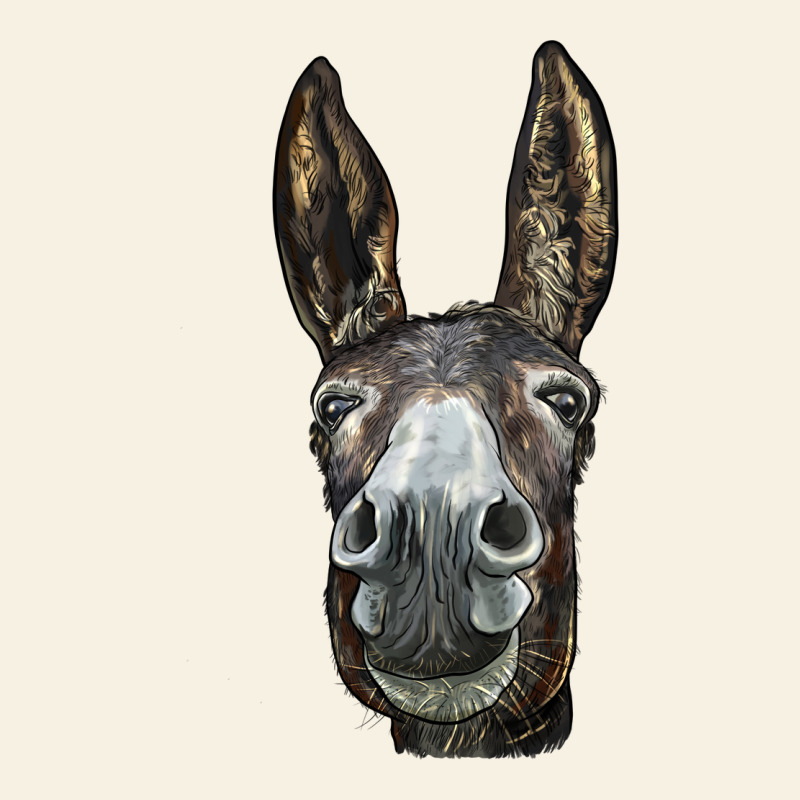 Donkey  Face Vintage Tee by LillyAllenDesigns | Teevron