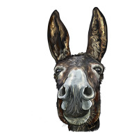 Donkey  Face | Teevron