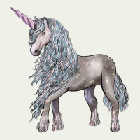 Unicorn Urban Heavy Tee | Teevron