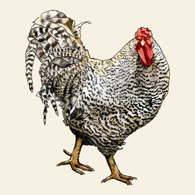 Dominique Rooster Vintage Tee by LillyAllenDesigns | Teevron