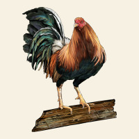 American Game Rooster Standing Vintage Tee | Teevron