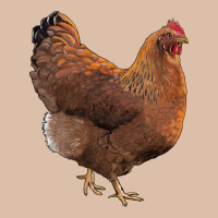 New Hampshire Red Chicken Urban Heavy Tee | Teevron