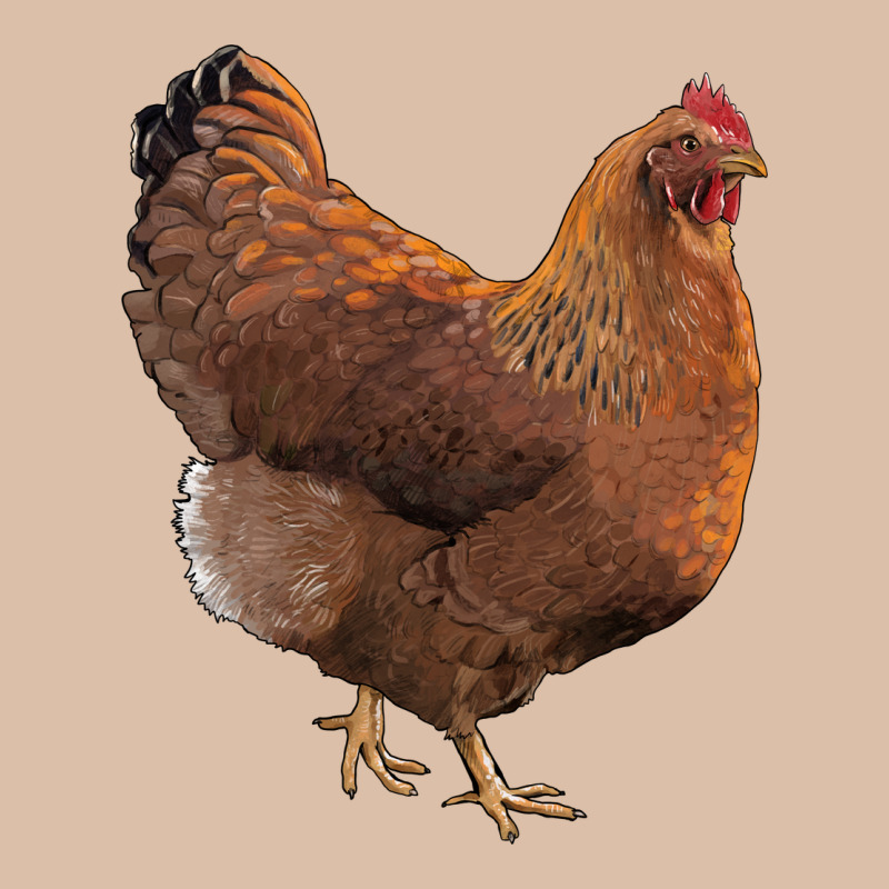 New Hampshire Red Chicken Urban Heavy Tee by LillyAllenDesigns | Teevron