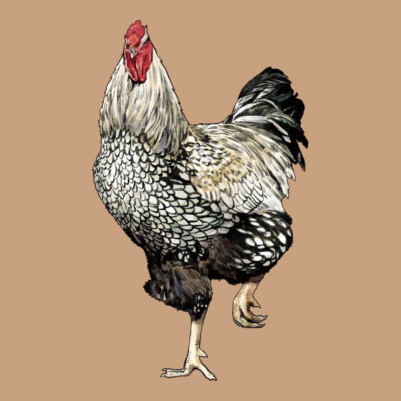 Wyandotte Rooster Vintage Tee by LillyAllenDesigns | Teevron