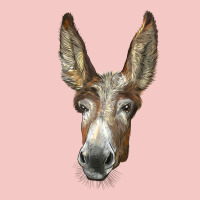 American Mammoth Jackstock Donkey  Face Urban Heavy Tee | Teevron