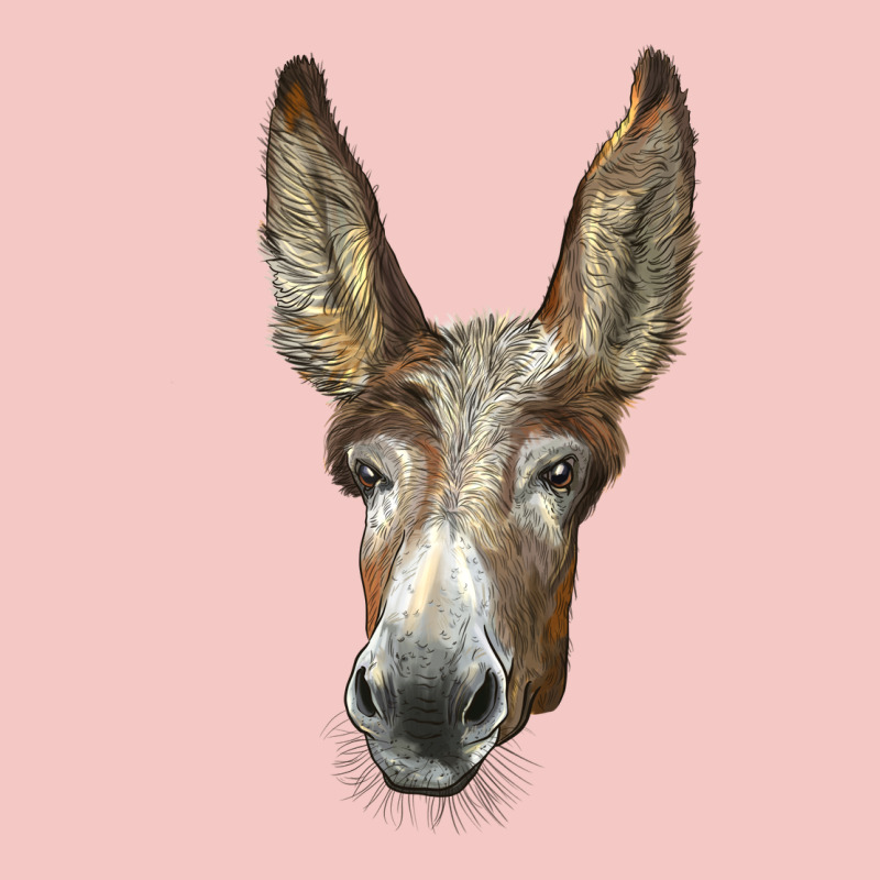 American Mammoth Jackstock Donkey  Face Urban Heavy Tee by LillyAllenDesigns | Teevron