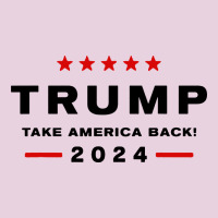 Donald Trump 2024 Take America Back Classic Tee | Teevron