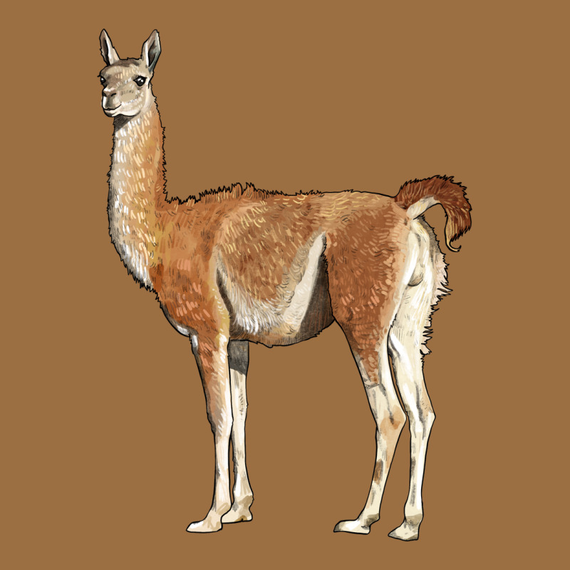 Guanaco Llama Vintage Tee by LillyAllenDesigns | Teevron