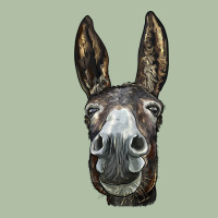 Donkey  Face Urban Heavy Tee | Teevron