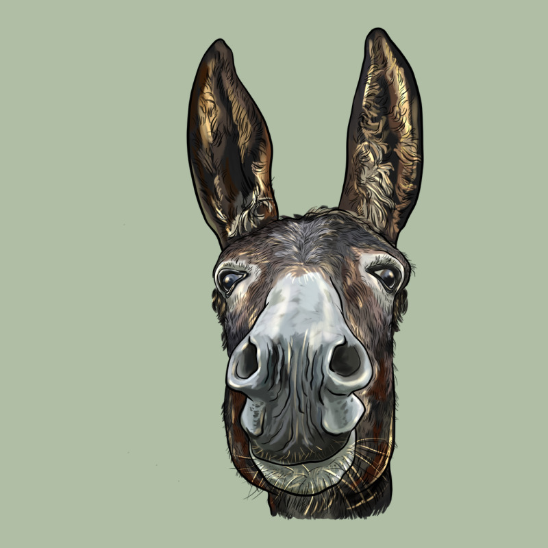 Donkey  Face Urban Heavy Tee by LillyAllenDesigns | Teevron