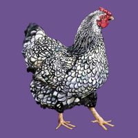 Wyandotte Chicken Vintage Tee | Teevron