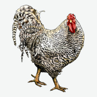 Dominique Rooster Urban Heavy Tee | Teevron