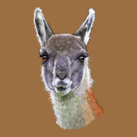 Guanaco Llama Head Vintage Tee | Teevron