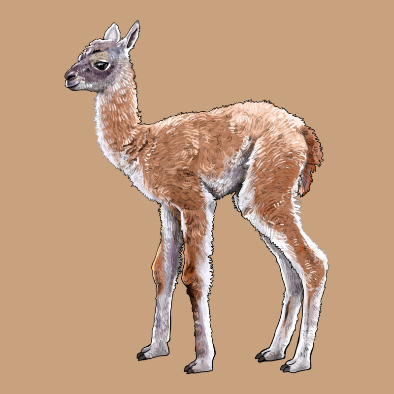 Guanaco Llama Baby Vintage Tee by LillyAllenDesigns | Teevron
