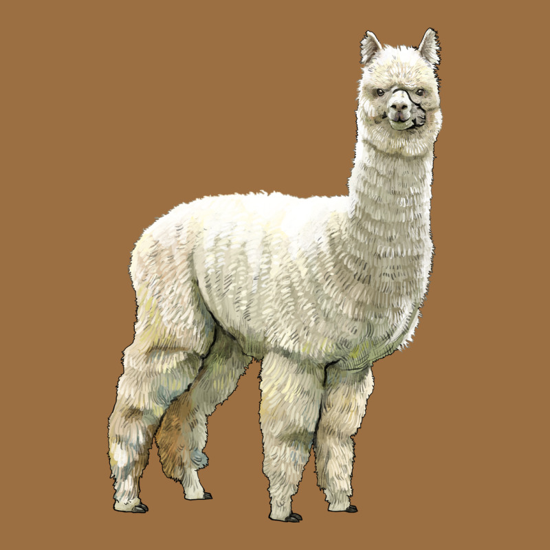 Alpaca Vintage Tee by LillyAllenDesigns | Teevron