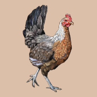 American Game Chicken Urban Heavy Tee | Teevron