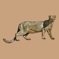 Jaguarundi Vintage Tee | Teevron