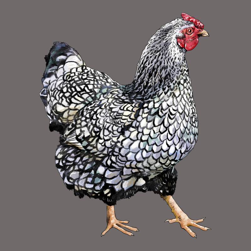 Wyandotte Chicken Urban Heavy Tee by LillyAllenDesigns | Teevron