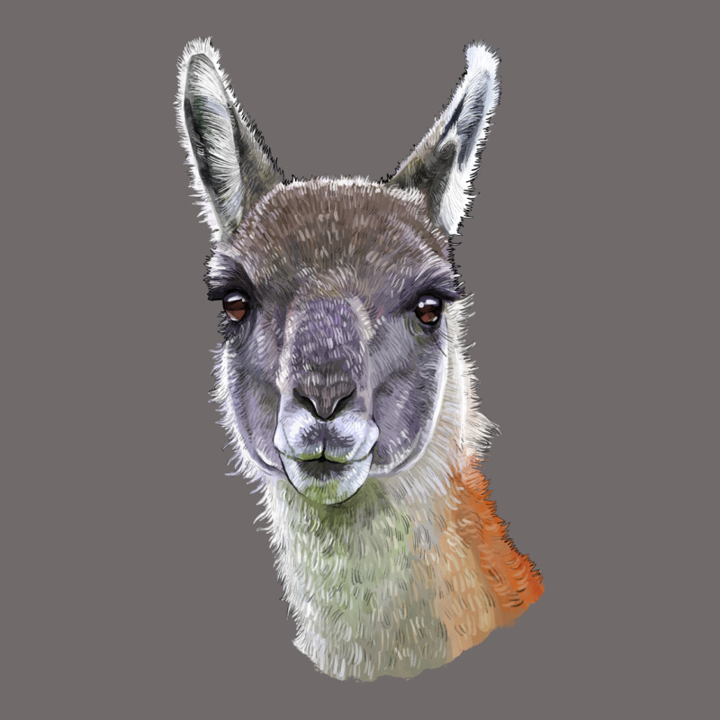 Guanaco Llama Head Urban Heavy Tee by LillyAllenDesigns | Teevron