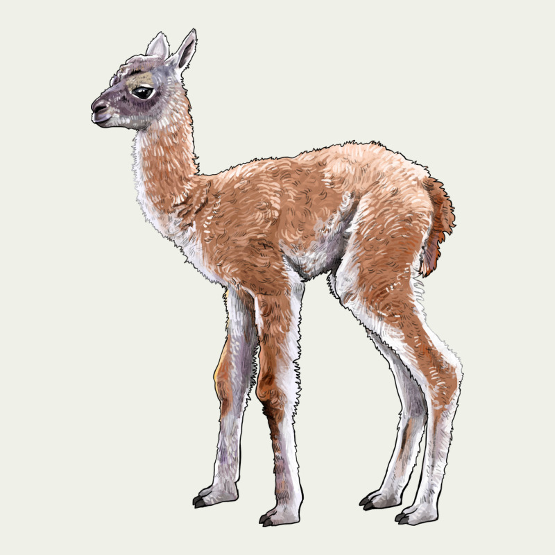 Guanaco Llama Baby Urban Heavy Tee by LillyAllenDesigns | Teevron