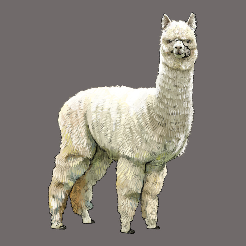 Alpaca Urban Heavy Tee by LillyAllenDesigns | Teevron