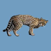 Ocelot Urban Heavy Tee | Teevron