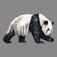Walking Panda Vintage Tee | Teevron
