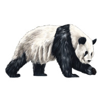 walking panda | Teevron