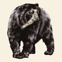 Spectacled Bear Vintage Tee | Teevron