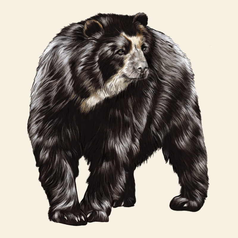 Spectacled Bear Vintage Tee by LillyAllenDesigns | Teevron