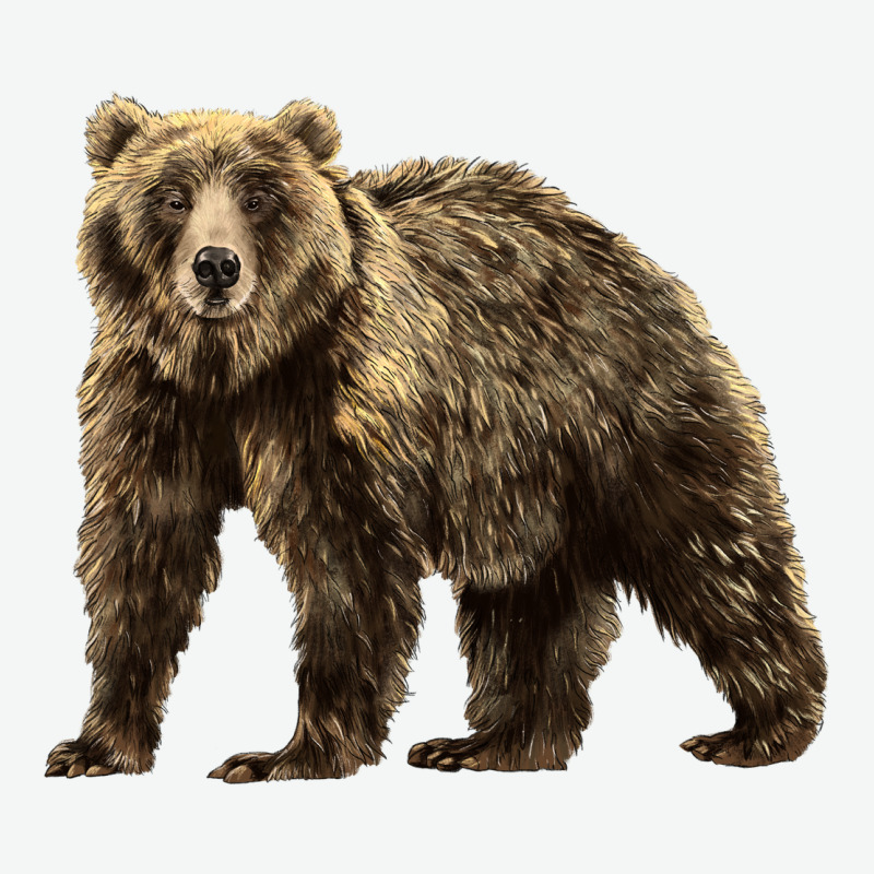 Brown Bear Urban Heavy Tee by LillyAllenDesigns | Teevron