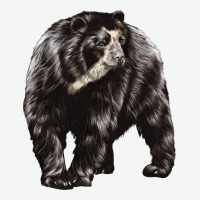 Spectacled Bear Urban Heavy Tee | Teevron