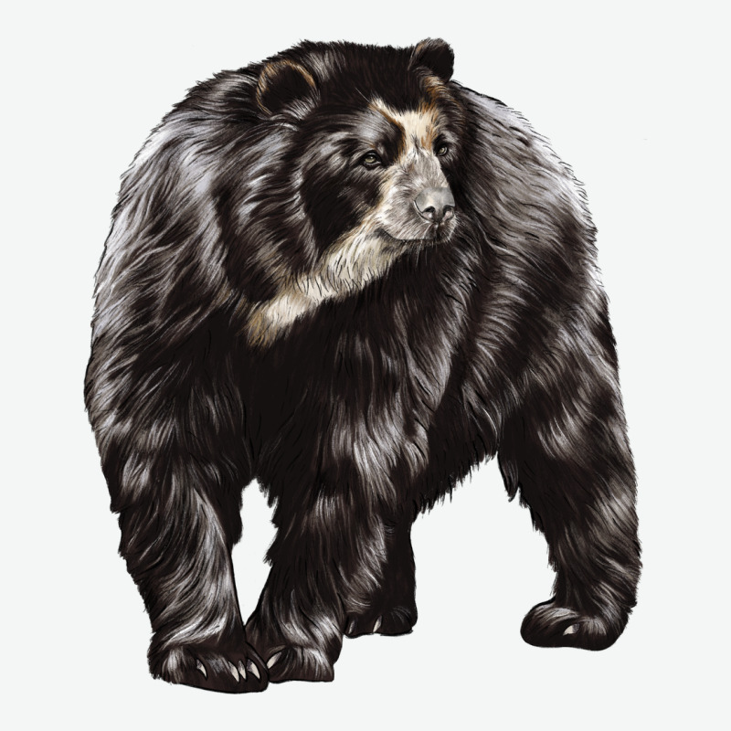 Spectacled Bear Urban Heavy Tee by LillyAllenDesigns | Teevron