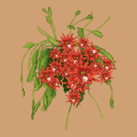 Red Orchid Cactus Vintage Tee | Teevron