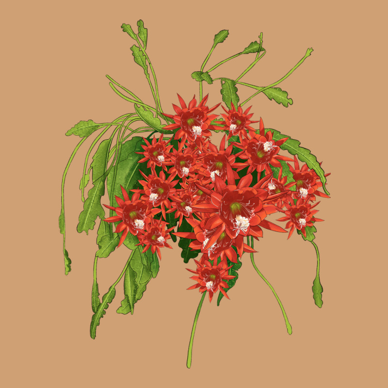 Red Orchid Cactus Vintage Tee by LillyAllenDesigns | Teevron