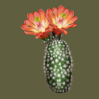 King Cup Cactus Vintage Tee | Teevron