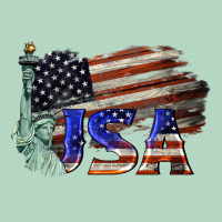 Usa  Statue Of Liberty Classic Tee | Teevron