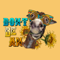 Don't Be An Ass Donkey Vintage Hoodie | Teevron