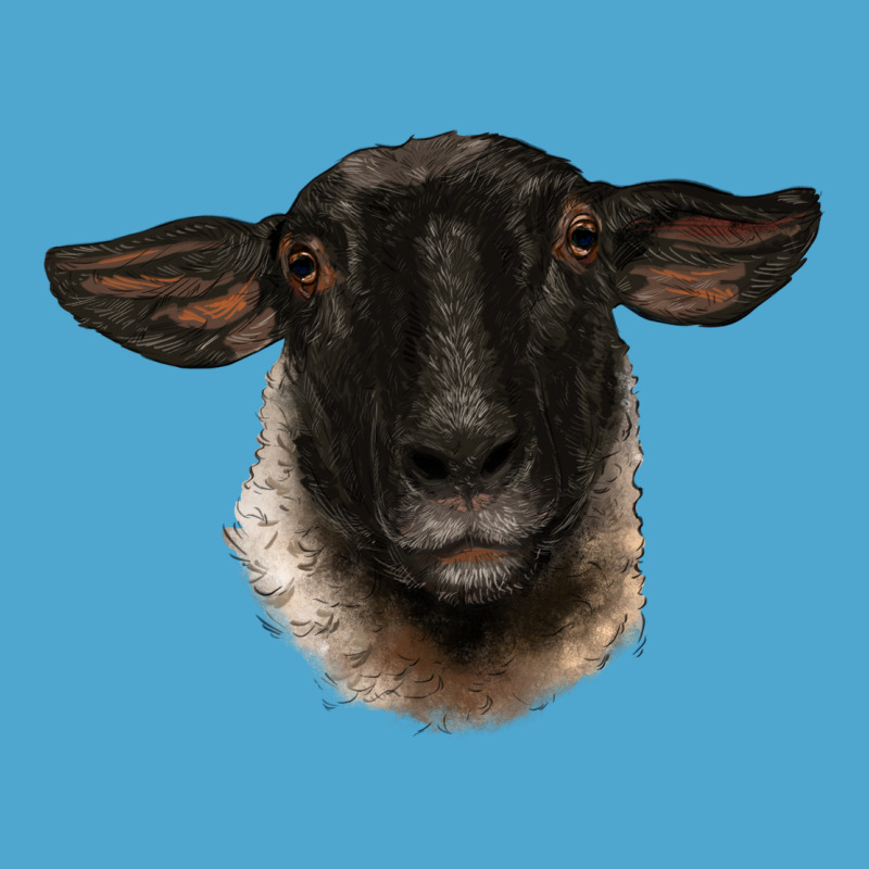 Suffolk Ewe Head Premium Hoodie by BarkalooDesign | Teevron