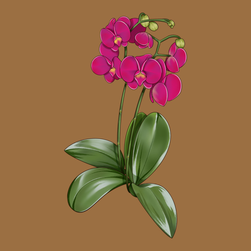 Moth Orchid Vintage Tee by LillyAllenDesigns | Teevron