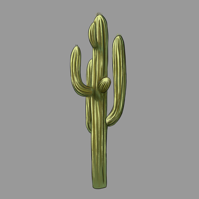 Cactus Vintage Hoodie by BarkalooDesign | Teevron
